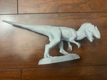Adult Allosaurus