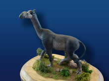 Paraceratherium
