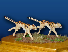 Miracinonyx (Prehistoric American Cheetah)