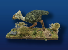 Phorusrhacos