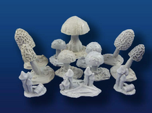 Large Mushrooms #1 (12 pieces, 6 styles)