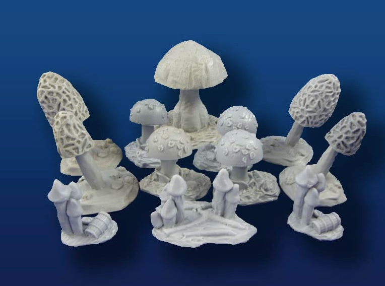 Large Mushrooms #1 (12 pieces, 6 styles)