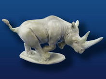 Black Rhino