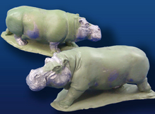 Hippopotamus