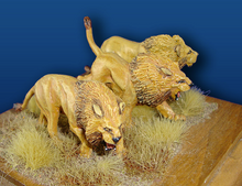 Male Lion Set (3)