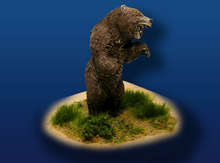 Grizzly Bear, Standing