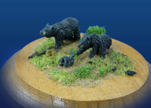 Black Bears (3)