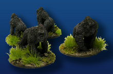 African Gorillas (2)