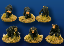Chimpanzees (6)