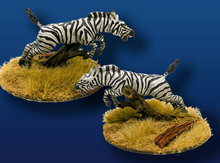 Zebra Leaping (2)